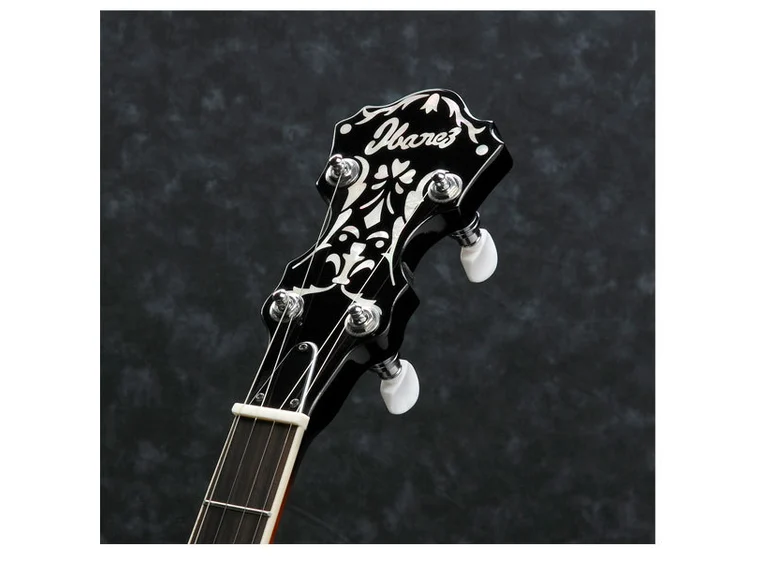 Ibanez B-200 - 5 str. banjo 